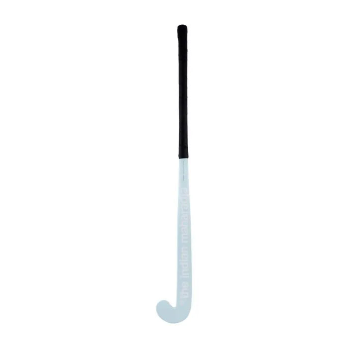 The Indian Maharadja Indoor Aqua Glass WD