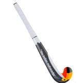 The Indian Maharadja Baby Toucan