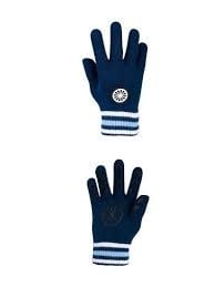 The Indian Maharadja winter glove navy