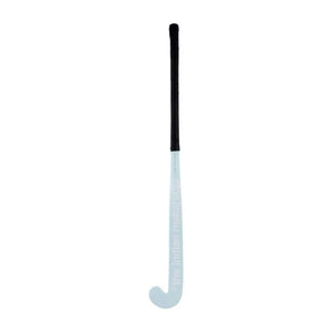 The Indian Maharadja Indoor Aqua Glass WD